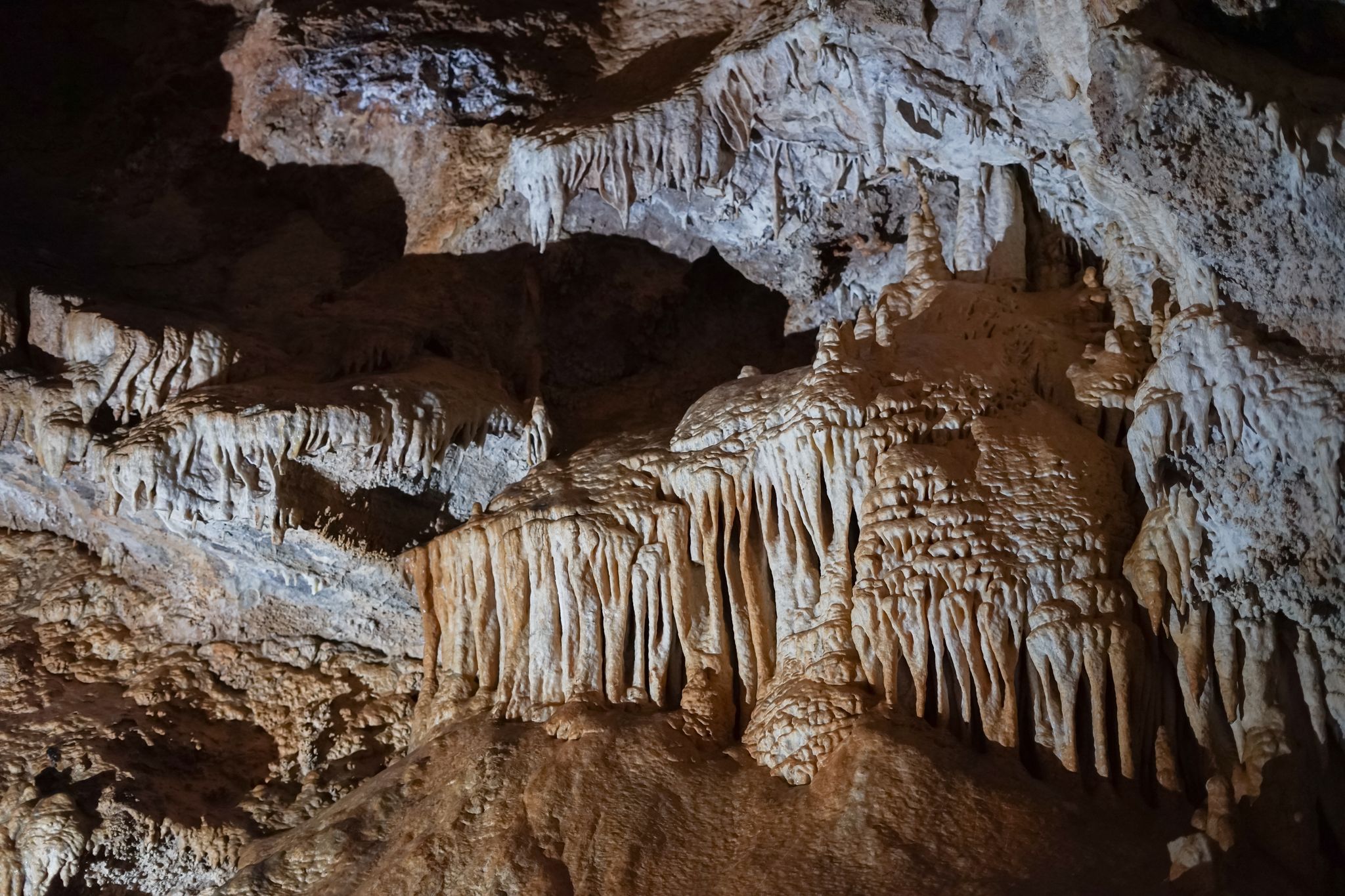 Photo of stalactites and stalagmites in Lipa Cave, formations Columns and Draperies, Montenegro.