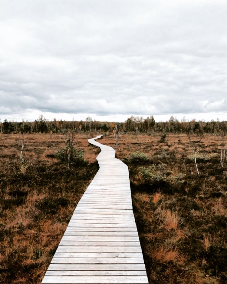 Trail to Aukštumala, Kintų seniūnija, Šilutė District Municipality, Klaipeda County, Lithuania