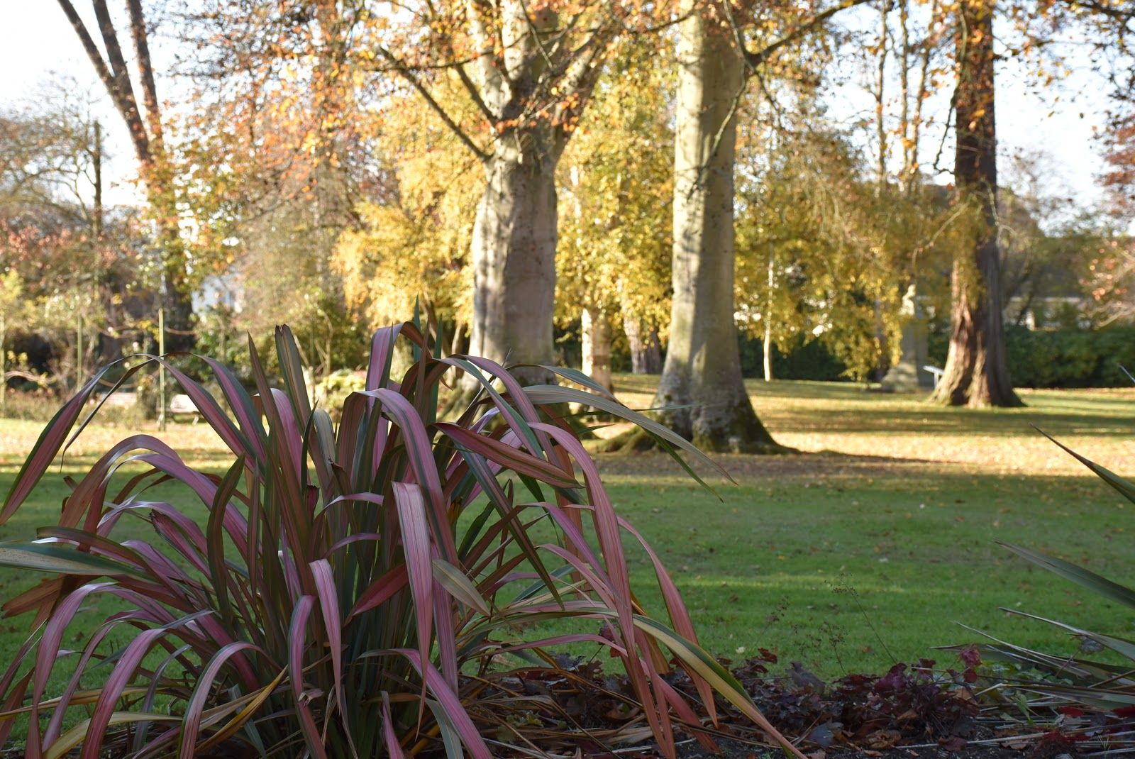 Botanical Garden, Bayeux, Calvados, Normandy, Metropolitan France, France