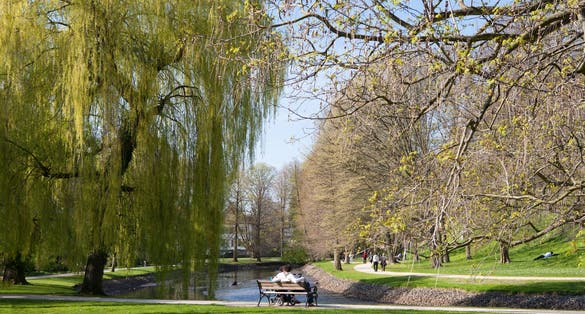 Photo of Spring in Park Celle, Germany.
