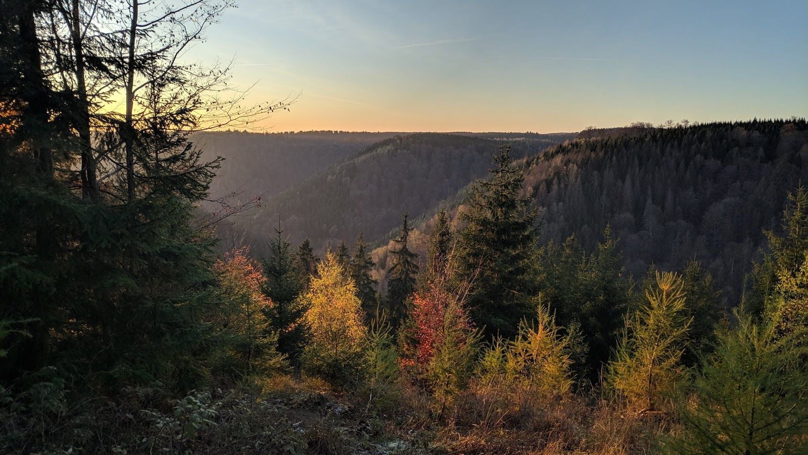 South Harz Nature Park, Ilfeld, Harztor, Landkreis Nordhausen, Thuringia, Germany