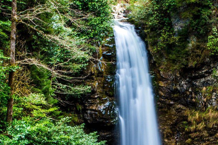 Enjoy Black Sea Boutique Tour