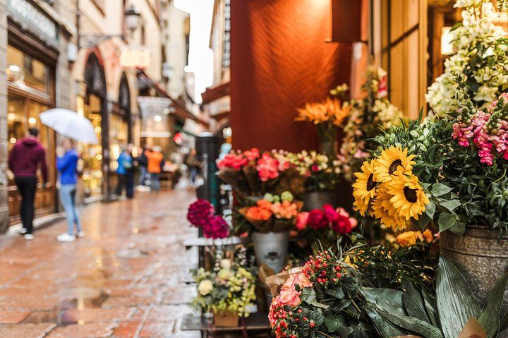 Bologna Private Highlights & Hidden Gems Tour with a Local