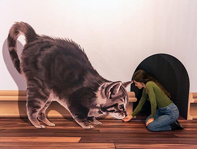 b7.jpg