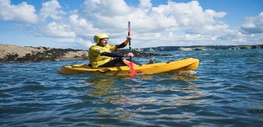 Sea Kayak Lesson & Tour in Newquay