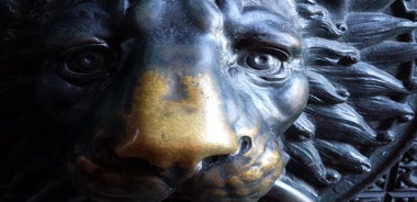 Cologne City Tour Experience cathedral city on the Rhine