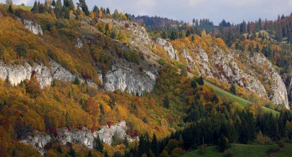 Photo of Amazing autumn landscape view of Cheile Dambovicioarei with forest in fall color. Beautiful fall seasons changes over the year.