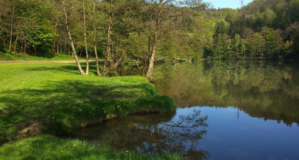 Photo of beautiful sunny spring day in Marianske Udoli ,Brno, Czech Republic.