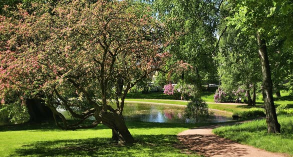 Slottsparken - Palace Park in Oslo. Norway