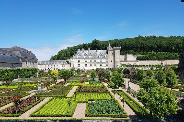 Loire Valley from Amboise : Azay le Rideau, Villandry, 2 Wineries