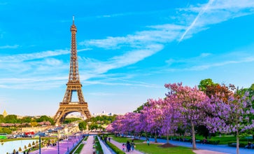 Eiffel Tower with Magnolia flowers. Spring view on Paris, France.jpg