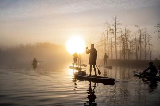 Sunrise or sunset SUP/kayak Adventure in the bog from Riga