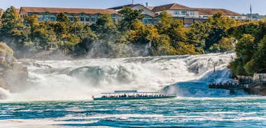 From Zurich: Rhine Falls Coach Tour with Entry Tickets