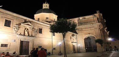 Salamanca Evening Walking Tour bilingual