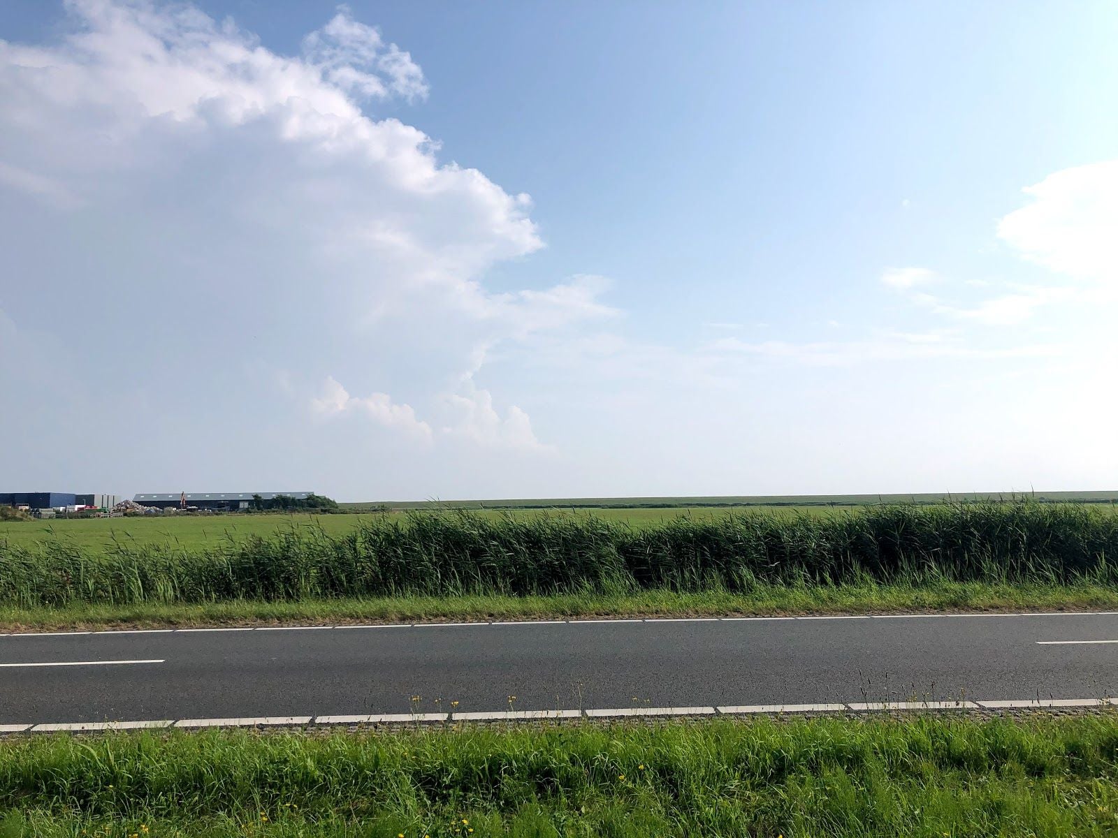 Staatsbosbeheer, Nes, Ameland, Friesland, Netherlands