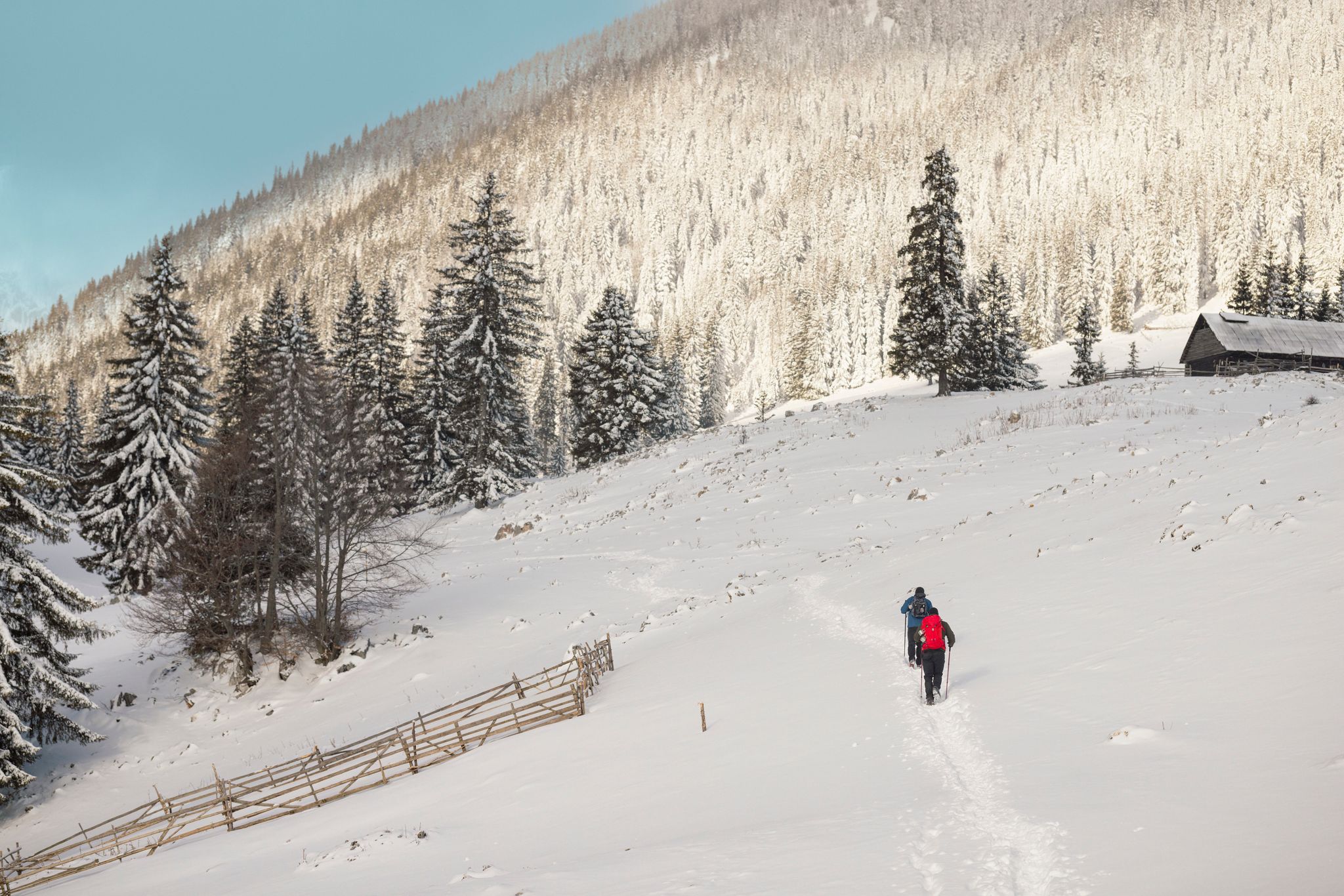 Photo of Aerial of Piatra Craiului National Park, hiking above the clouds, near Piatra Mica or Cabana Curmatura. Piatra Craiului mountains are a mountain range in the Southern Carpathians in Romania .
