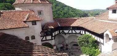 Peles, Bran, Rasnov, and Sinaia Monastery Tour from Brasov with Pickup