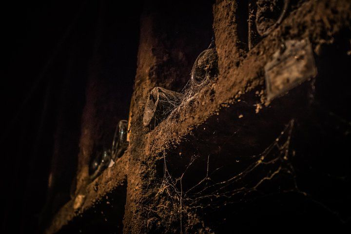 Small group Burgundy tour of Beaune with Wine Tasting from Dijon