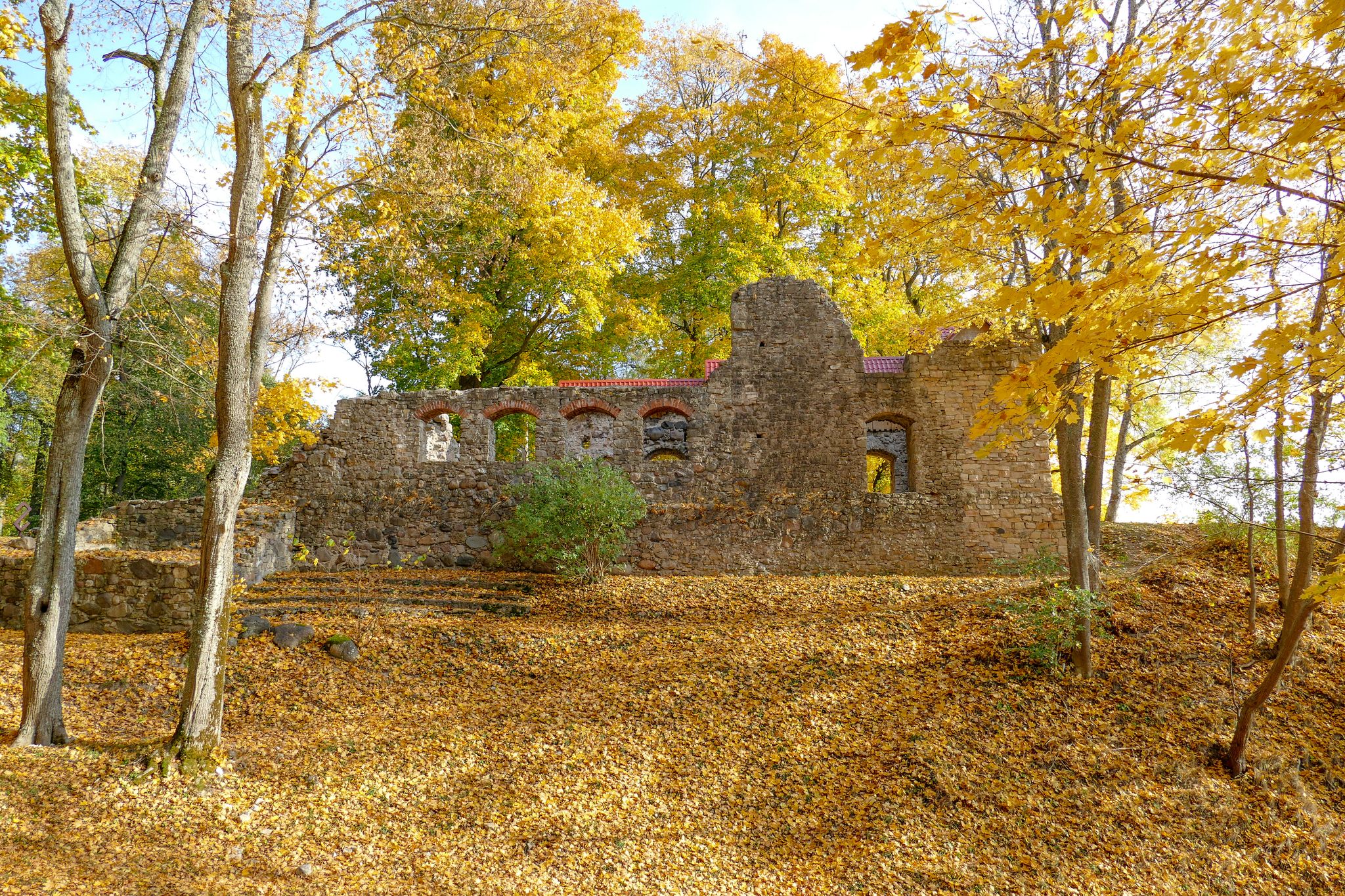 The Medieval Castle Ruins in Lielvārde, Latvia in autumn season. The stone castle and rampart was built at the beginning of the 13th century, but since 1613, only ruins remain.