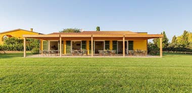 Sunset Tour with visit and guided tasting of 5 wines and local products