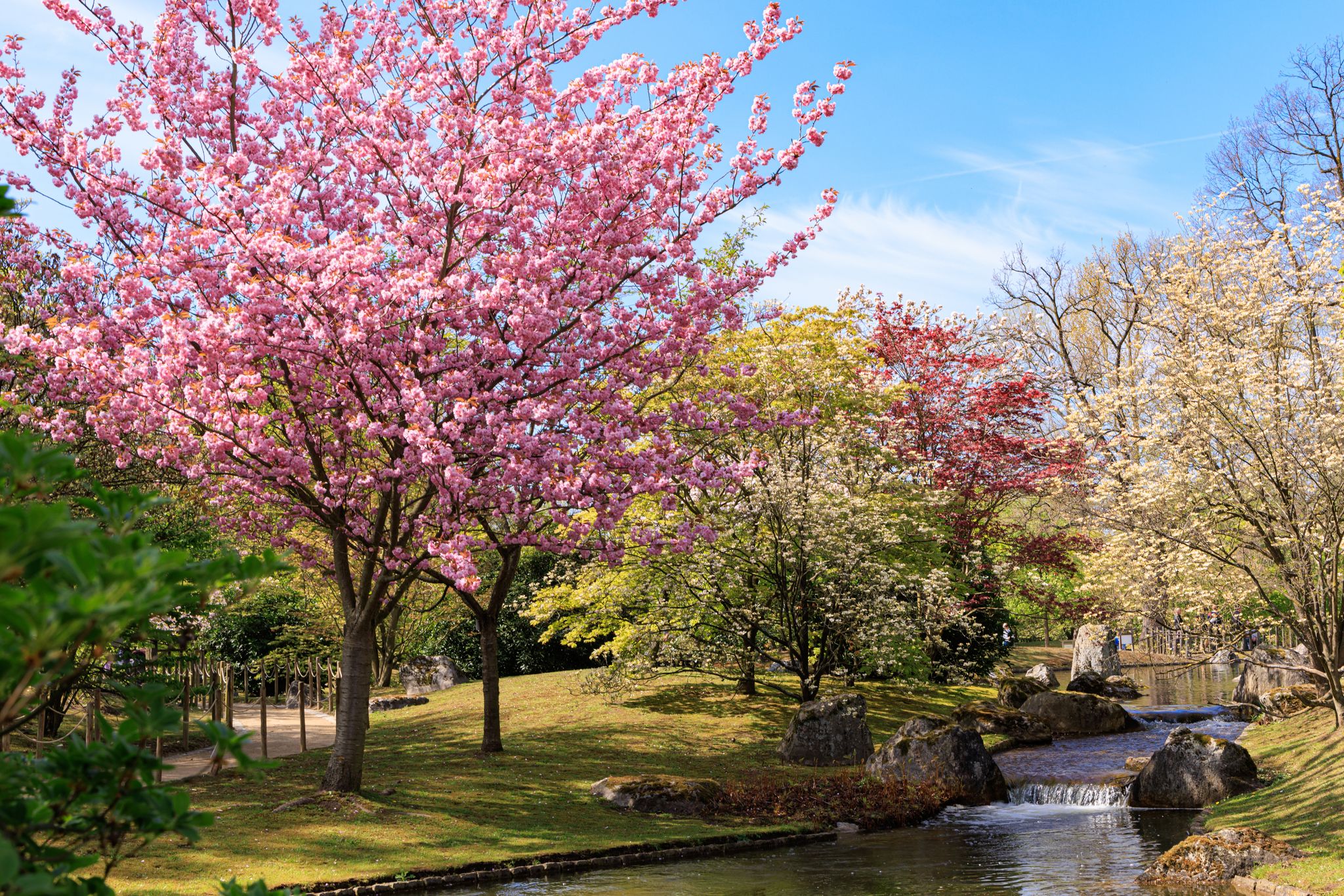 Photo of Japanese garden in Hasselt Flemisch region in Belgium.