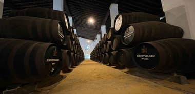 Jerez: Guided Winery Tour with Wine Tasting