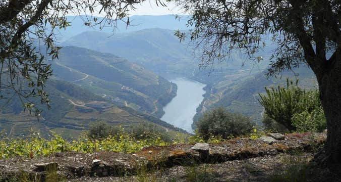 Douro Vineyards Hike