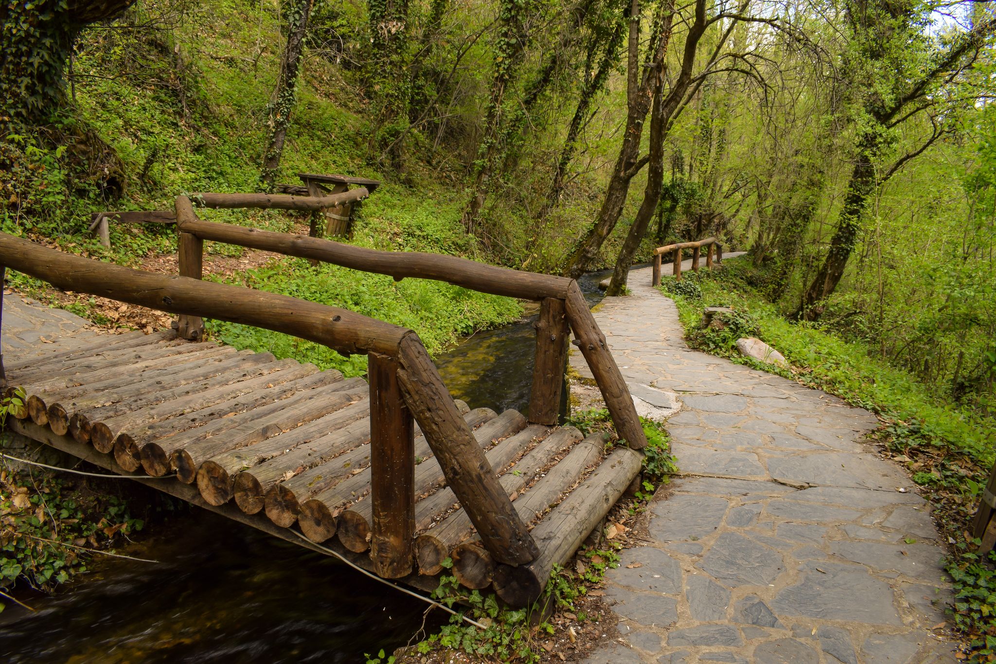 Photo of Path in the forest with wooden bridge over water stream, Vevcani springs, Jablanica mountain, Macedonia.
