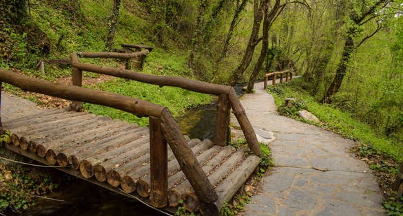 Photo of Path in the forest with wooden bridge over water stream, Vevcani springs, Jablanica mountain, Macedonia.