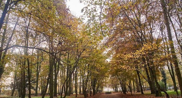 Park Kopernika (Gorzów Wielkopolski),Poland.
