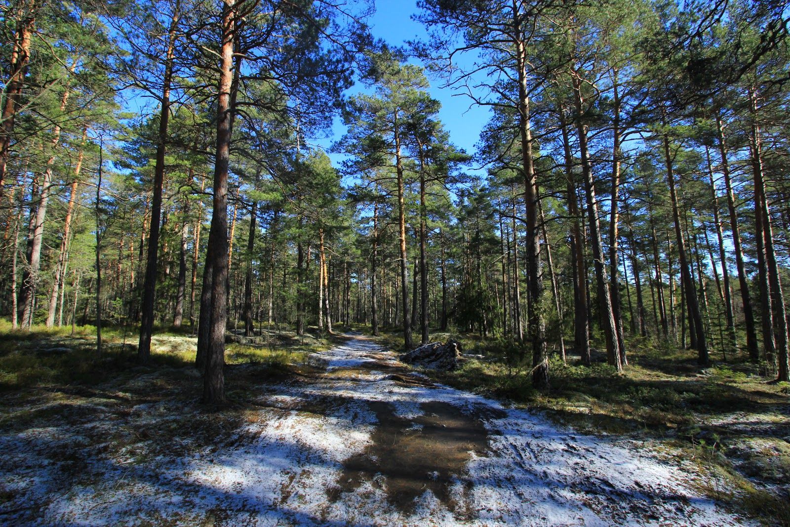 I2-skogen (Parkering och Entré), Karlstads kommun, Värmland County, Sweden