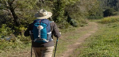 7-Day Portuguese Camino de Santiago Tour from Tui