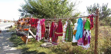 Transylvania Gypsy Heritage and Medieval History