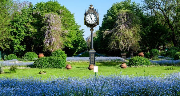 Photo of beautiful landscape with green trees, leaves, vintage clock and many small blue forget me not or Scorpion grasses flowers in a sunny day at the entry to Cismigiu Garden (Gradina Cismigiu) in Bucharest, Romania.