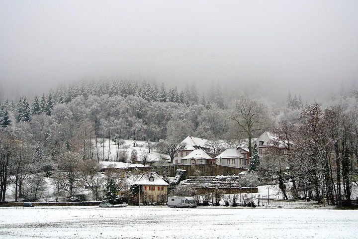 Freiburg - Historic walking tour