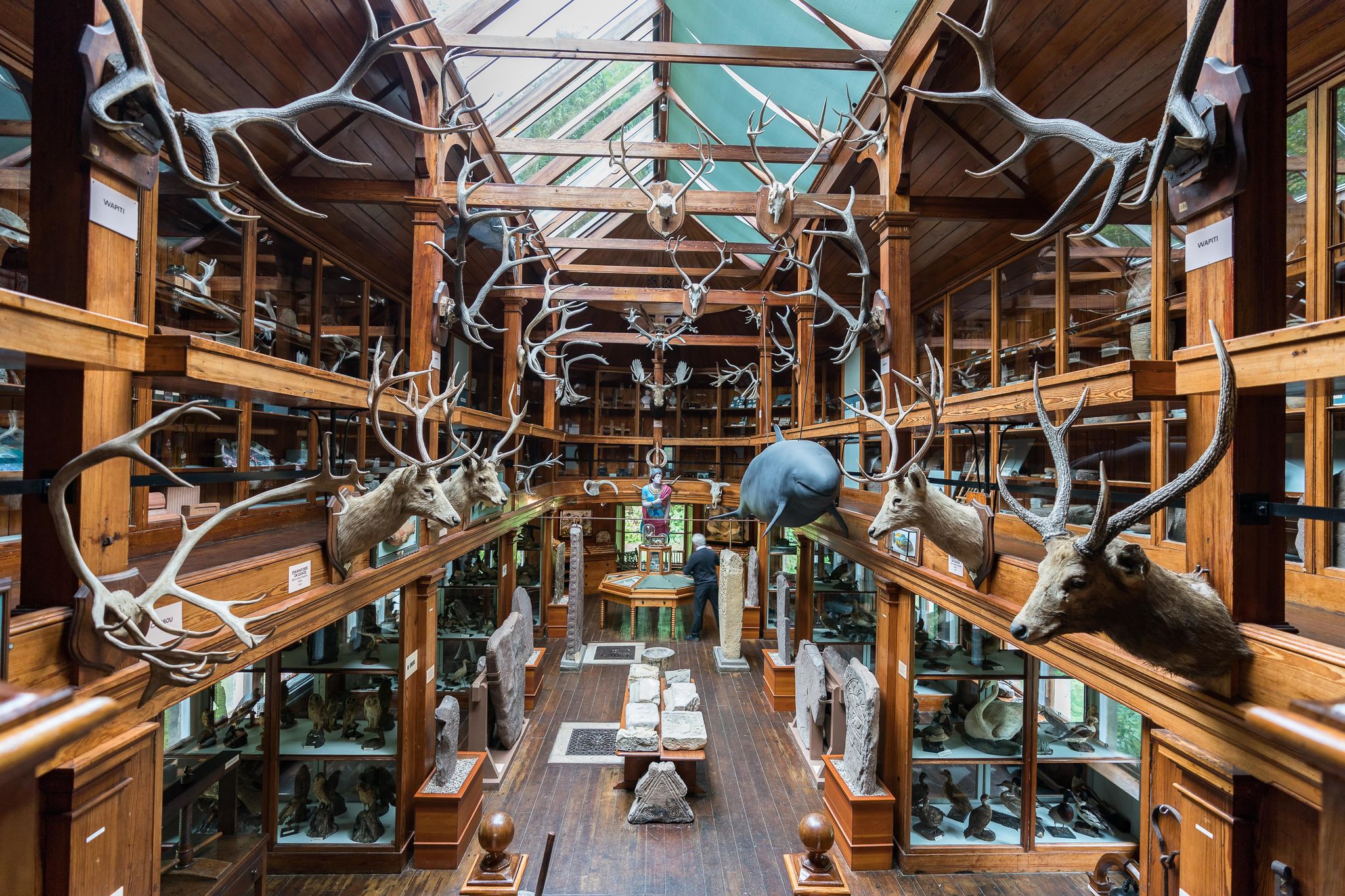 Dunrobin museum with animal trophy.