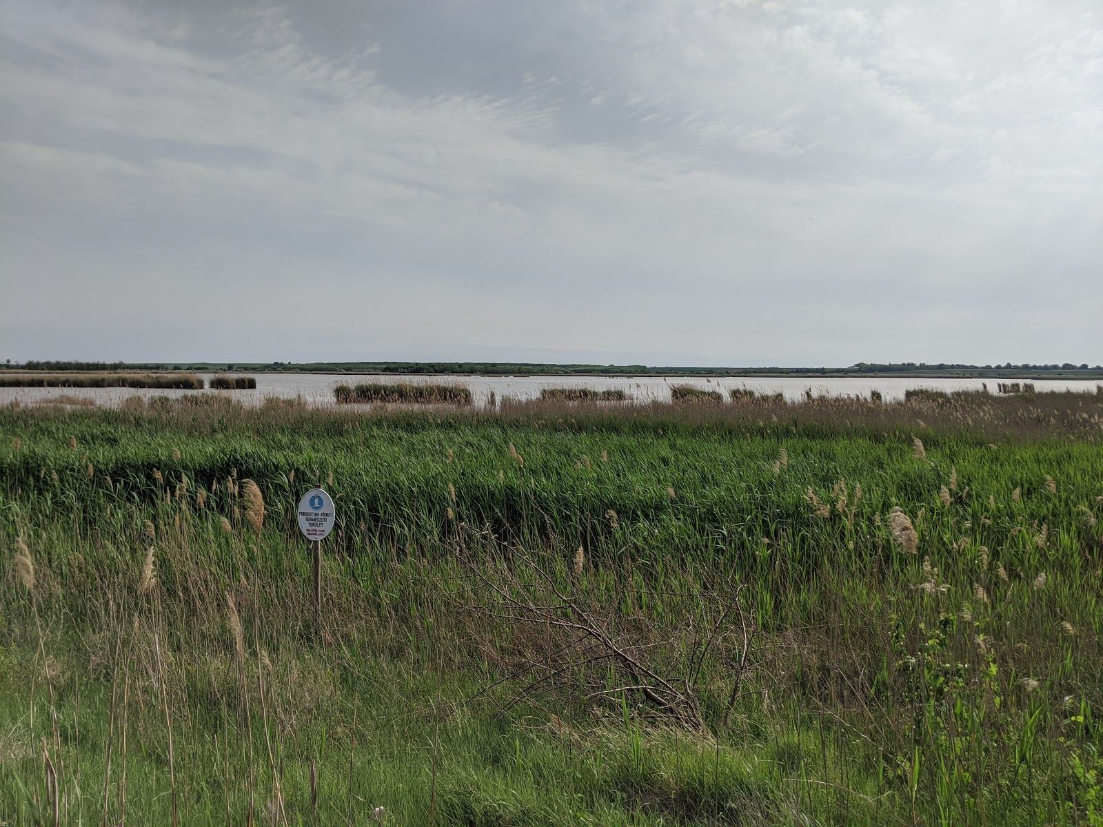 Velence and Dinnyés Nature Conservation Area, Gárdony, Gárdonyi járás, Fejér, Central Transdanubia, Transdanubia, Hungary