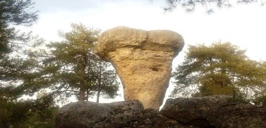 Excursion to the Enchanted City