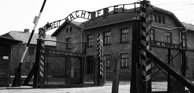 Day Trip to Auschwitz-Birkenau and Wieliczka Salt Mine from Krakow including Lunch