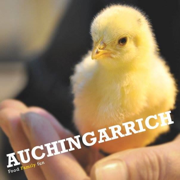 Auchingarrich Wildlife Centre, Perth and Kinross, Scotland, United Kingdom