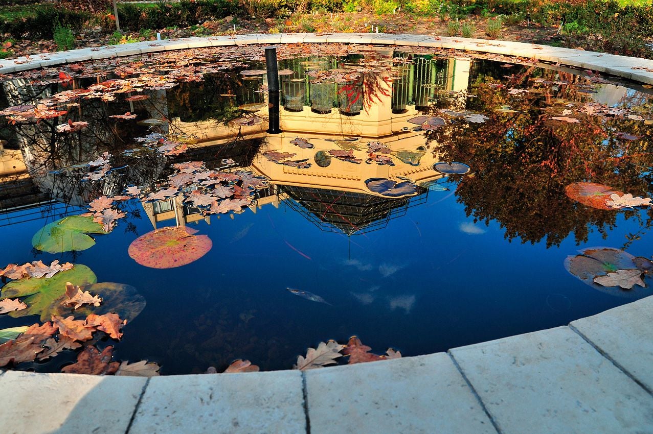 photo of ELTE Füvészkert .