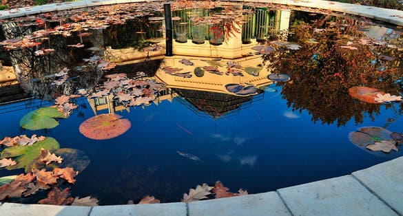 photo of ELTE Füvészkert .