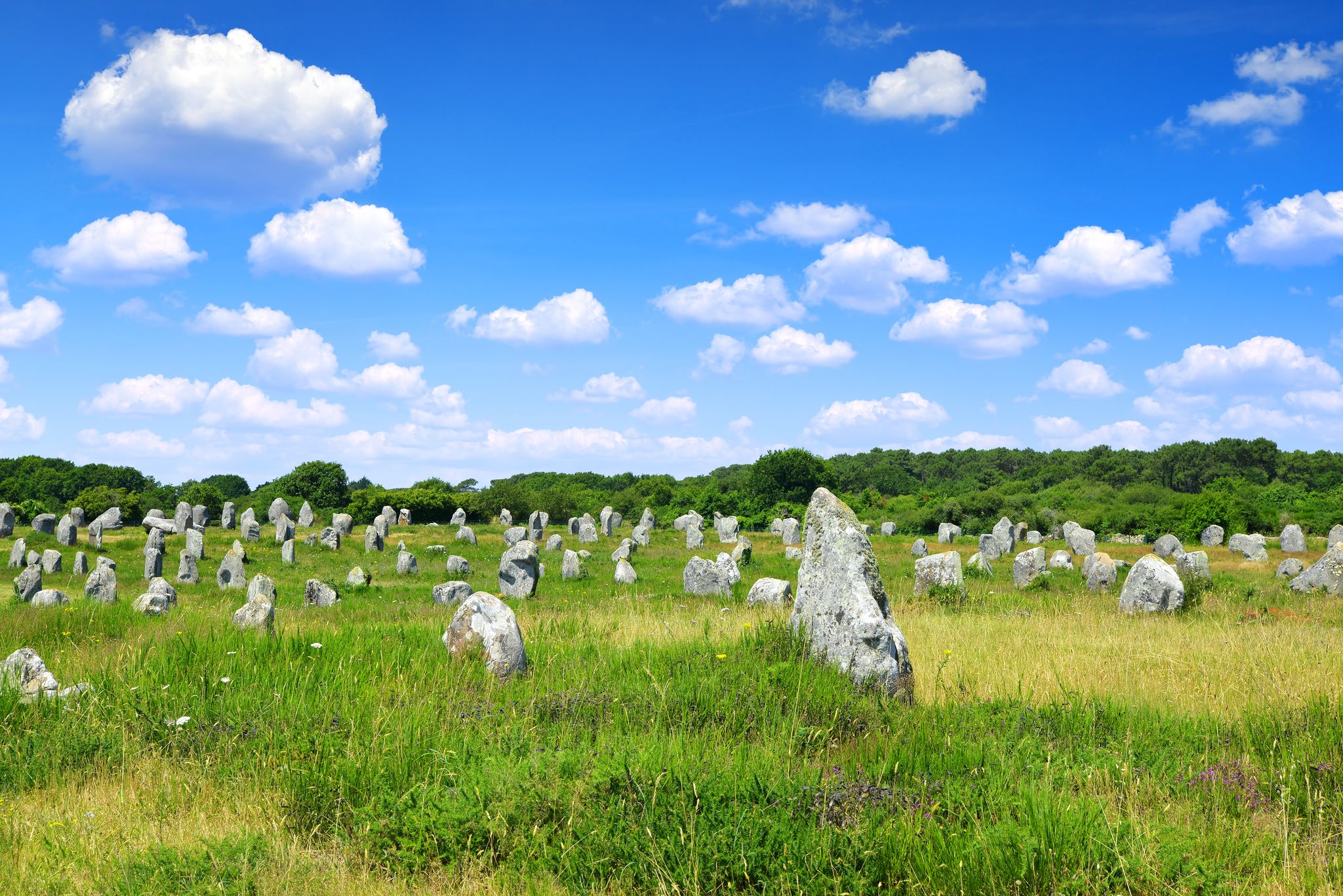 Photo of Megalithic monuments menhirs in Carnac, Brittany, France.