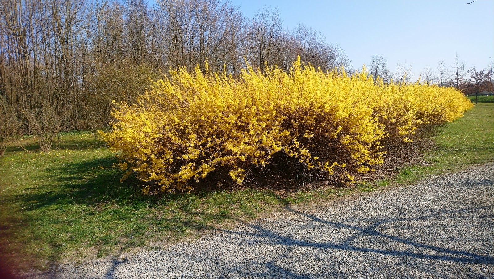 Montecucco Park, Piacenza, Emilia-Romagna, Italy