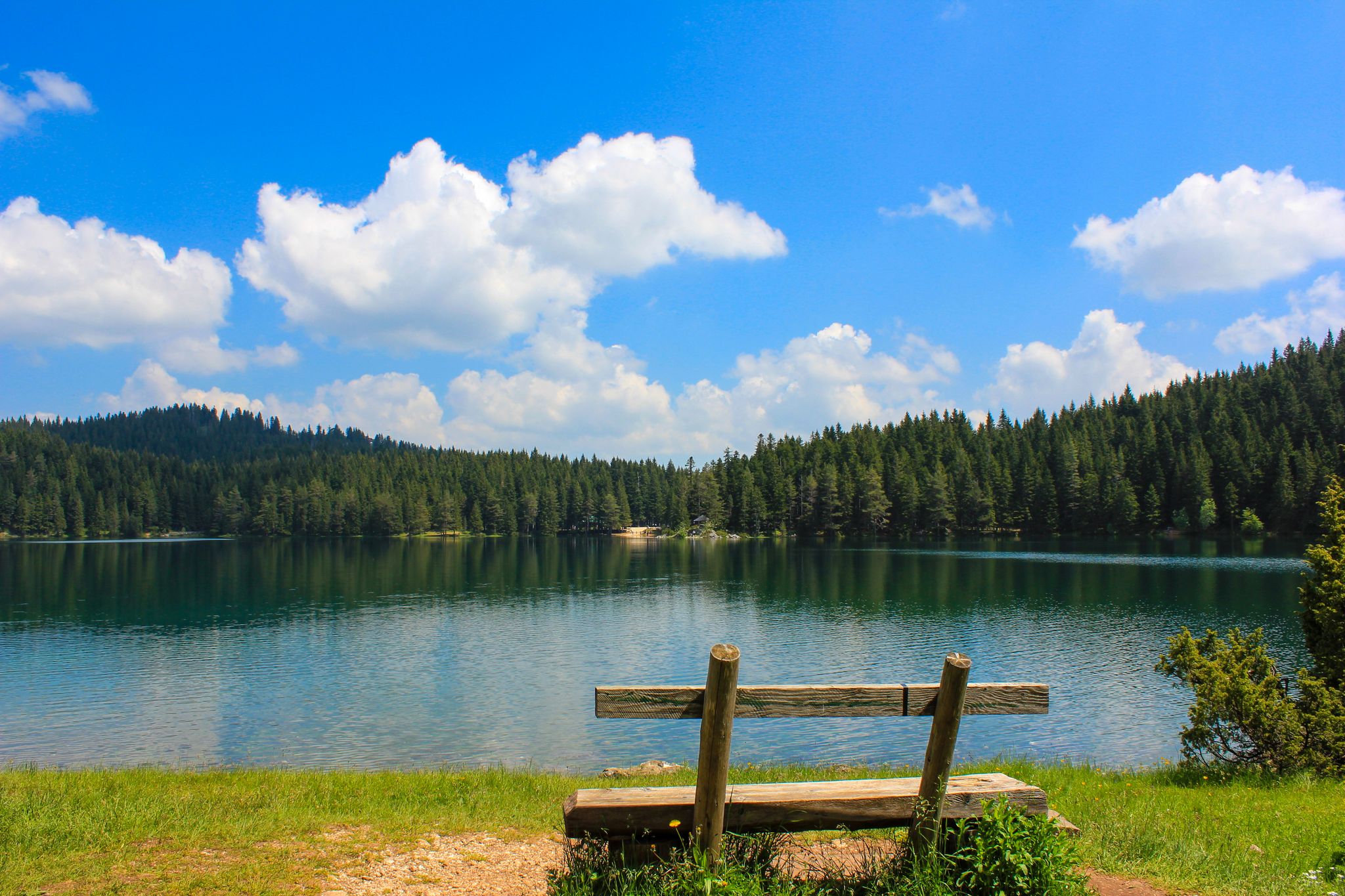 Photo of attractive morning view of Black Lake ( Crno Jezero ). Beautiful summer scene of Durmitor Nacionalni Park, Zabljak location, Montenegro.