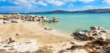 All-Inclusive Catamaran Day Cruise