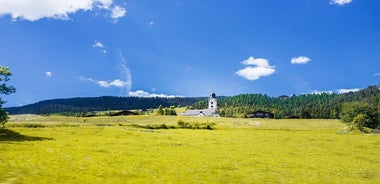 Private Tour of Chur in 90 minutes with a Local