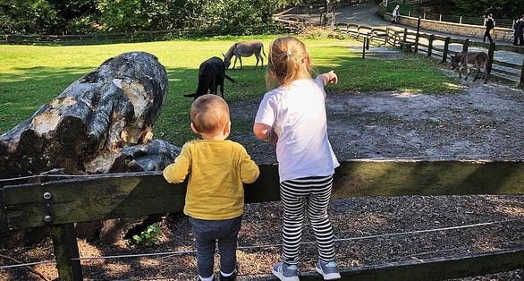photo of view of Heimat-Tierpark Olderdissen .