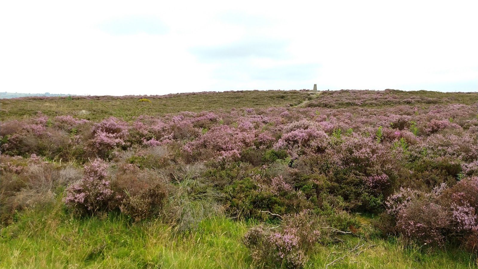 Stanton Moor, Stanton CP, Derbyshire Dales, Derbyshire, East Midlands, England, United Kingdom