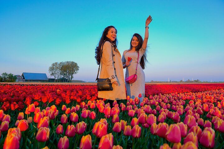 Lavender Field Photoshoot